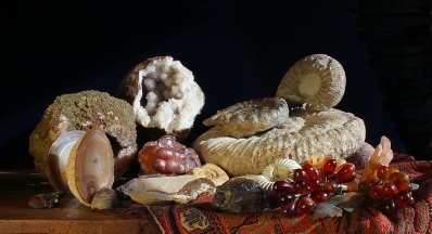 Still Life with Fossil Seafood - click for my News Page